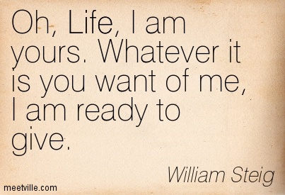 Quotation-William-Steig-life-Meetville-Quotes-323
